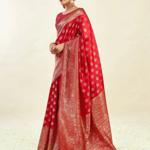 AXONIT Women's Silk Blend Banarasi Jacquard