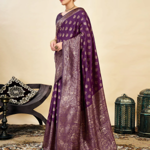 AXONIT Women's Silk Blend Banarasi Jacquard