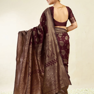 AXONIT Women's Silk Blend Banarasi Jacquard