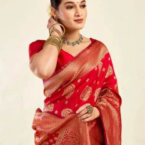 AXONIT Women's Silk Blend Banarasi Jacquard
