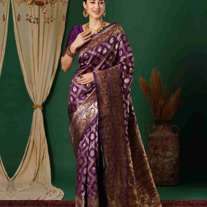 AXONIT Women's Silk Blend Banarasi Jacquard