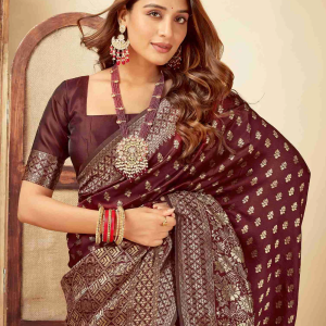 AXONIT Women's Silk Blend Banarasi Jacquard