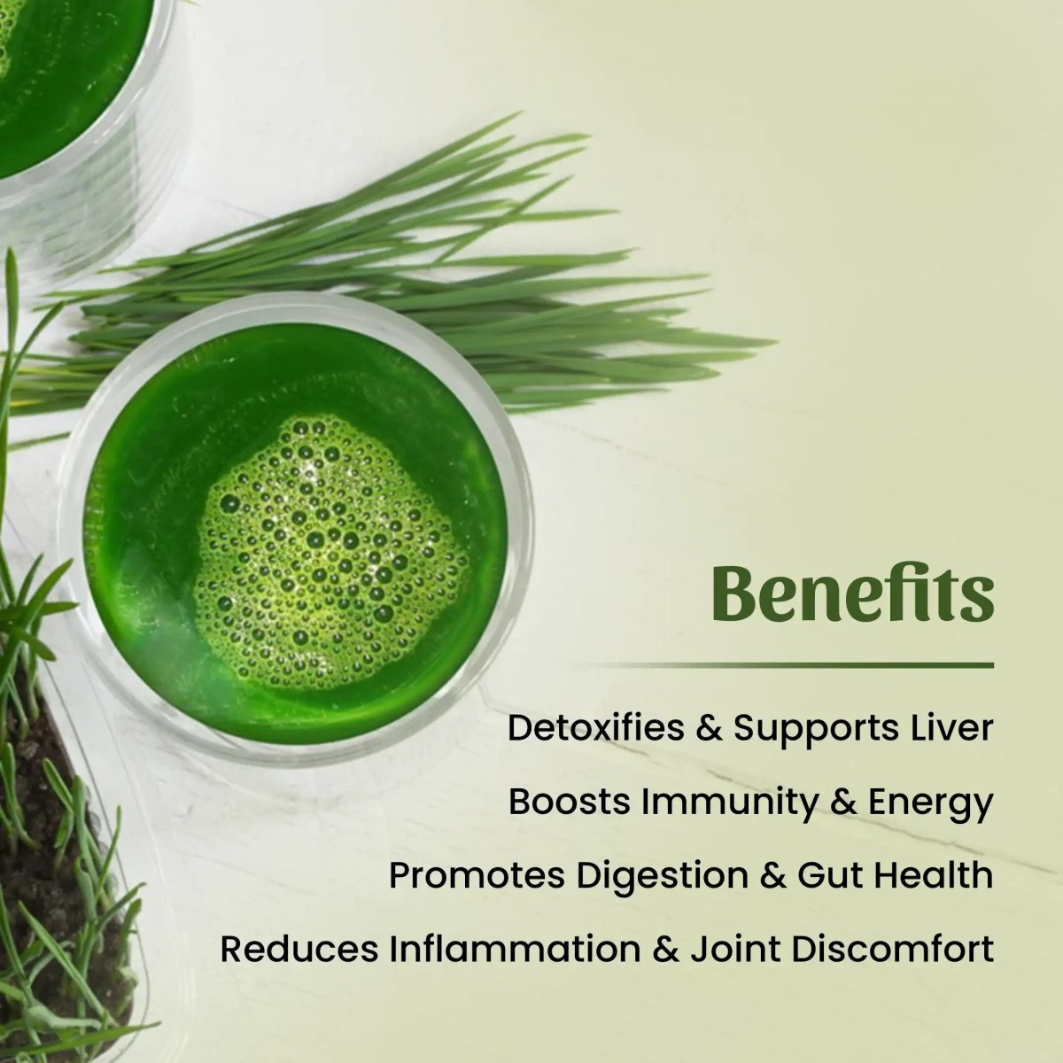 Neel Ayurvedics Wheatgrass Powder - 100 gm
