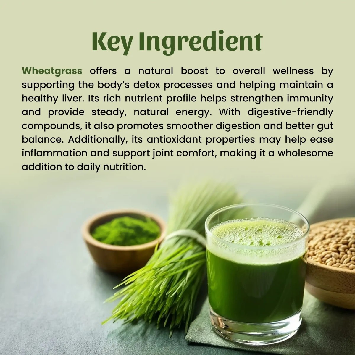 Neel Ayurvedics Wheatgrass Powder - 100 gm