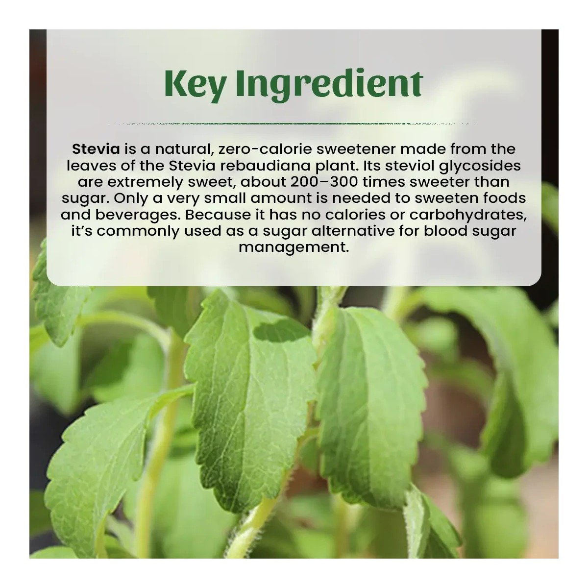 Neel Ayurvedics Stevia Powder - 1000 gm