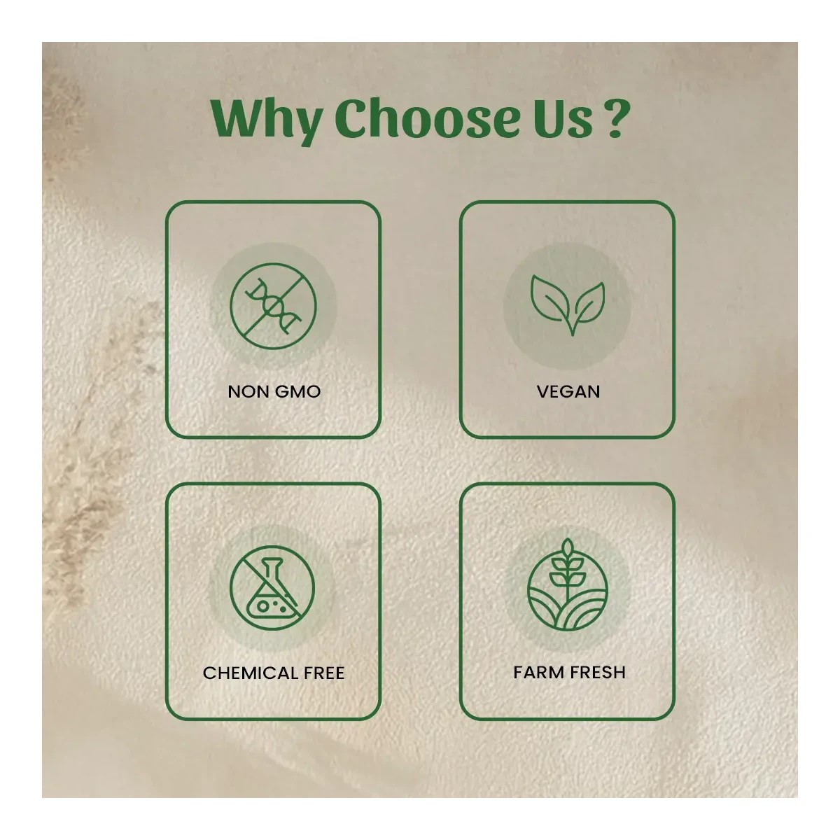 Neel Ayurvedics Stevia Powder - 1000 gm